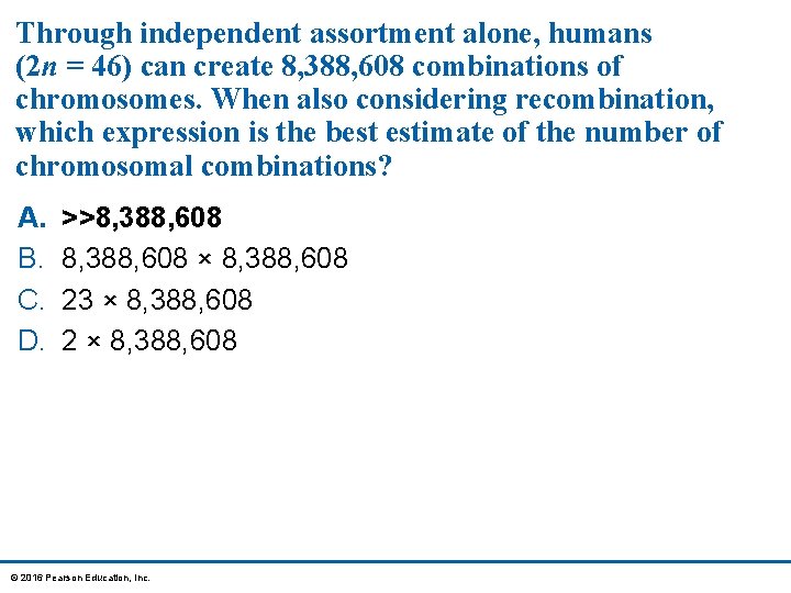 Through independent assortment alone, humans (2 n = 46) can create 8, 388, 608