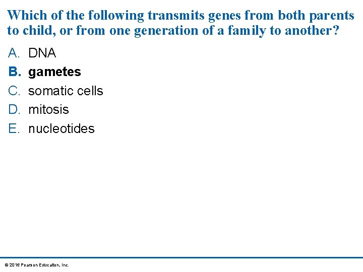 Which of the following transmits genes from both parents to child, or from one