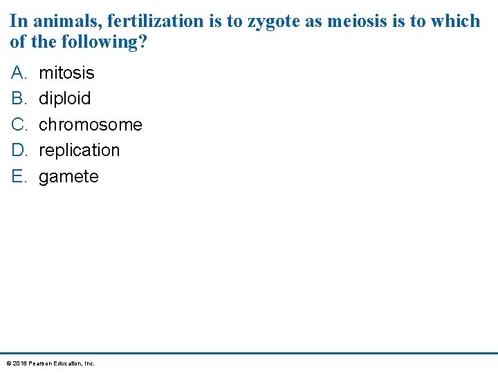 In animals, fertilization is to zygote as meiosis is to which of the following?