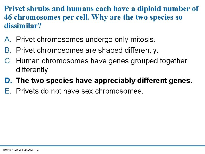 Privet shrubs and humans each have a diploid number of 46 chromosomes per cell.