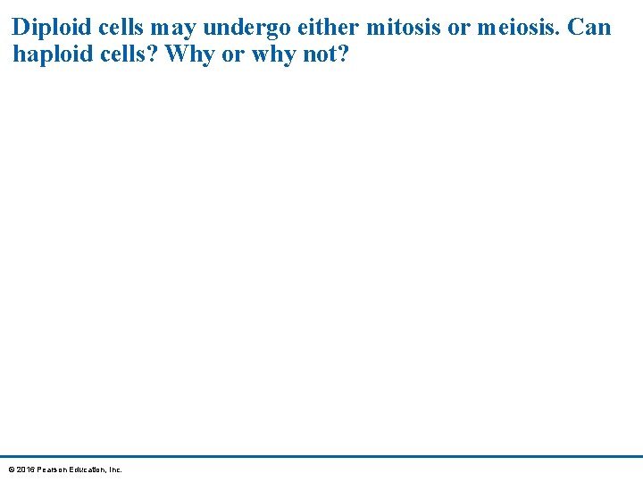 Diploid cells may undergo either mitosis or meiosis. Can haploid cells? Why or why