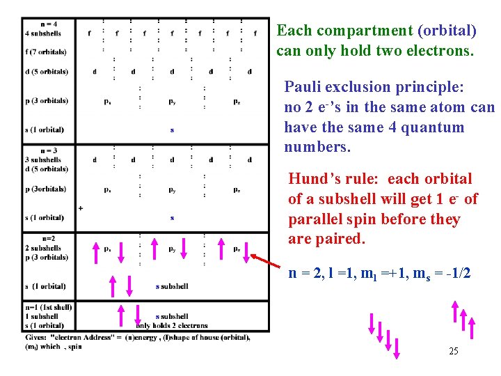 Each compartment (orbital) can only hold two electrons. Pauli exclusion principle: no 2 e-’s