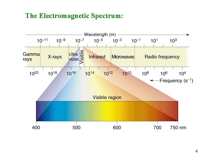 The Electromagnetic Spectrum: 4 