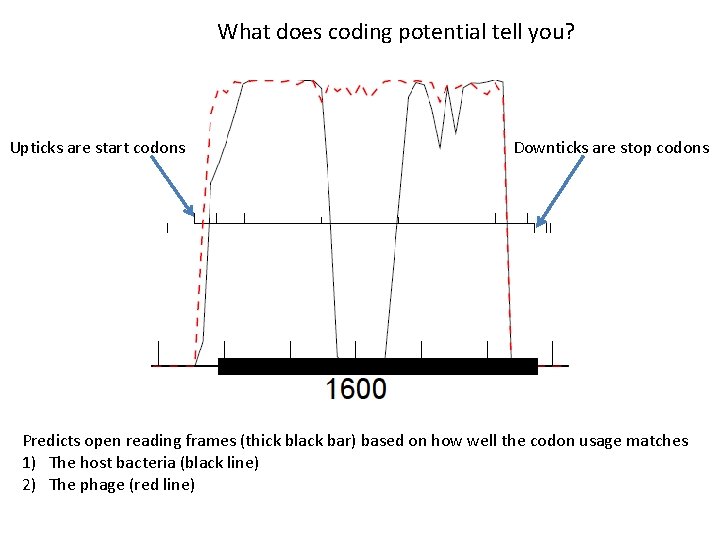 What does coding potential tell you? Upticks are start codons Downticks are stop codons