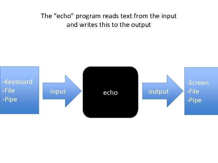 The “echo” program reads text from the input and writes this to the output
