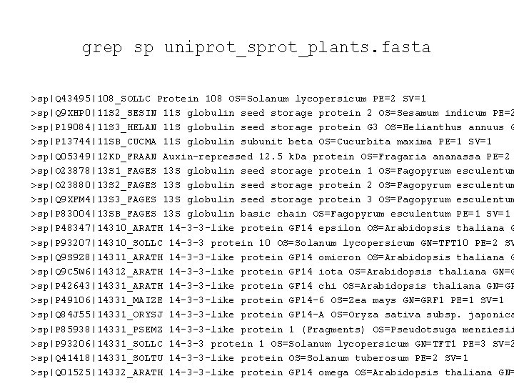 grep sp uniprot_sprot_plants. fasta >sp|Q 43495|108_SOLLC Protein 108 OS=Solanum lycopersicum PE=2 SV=1 >sp|Q 9