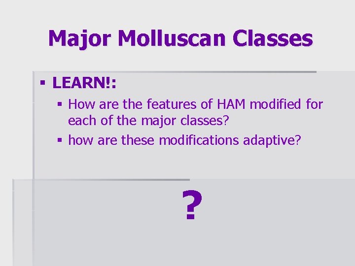 Major Molluscan Classes § LEARN!: § How are the features of HAM modified for