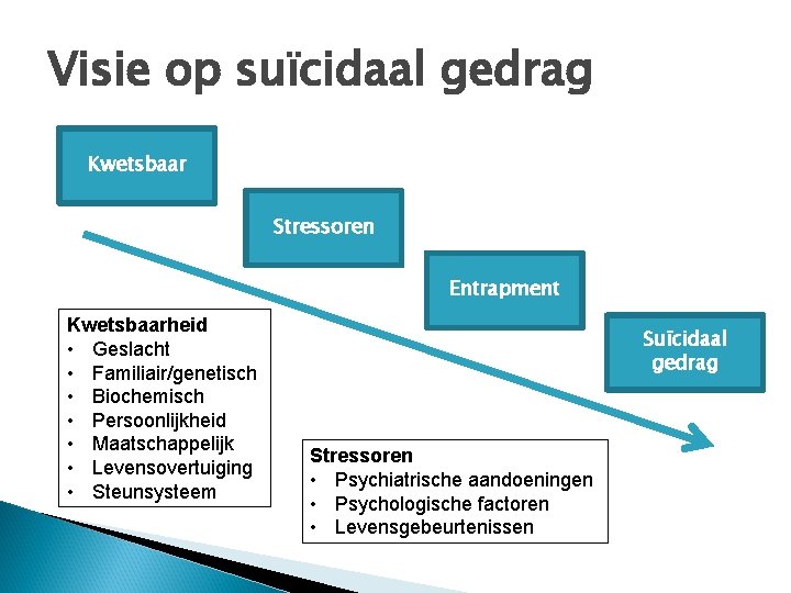 Visie op suïcidaal gedrag Kwetsbaar Stressoren Entrapment Kwetsbaarheid • Geslacht • Familiair/genetisch • Biochemisch