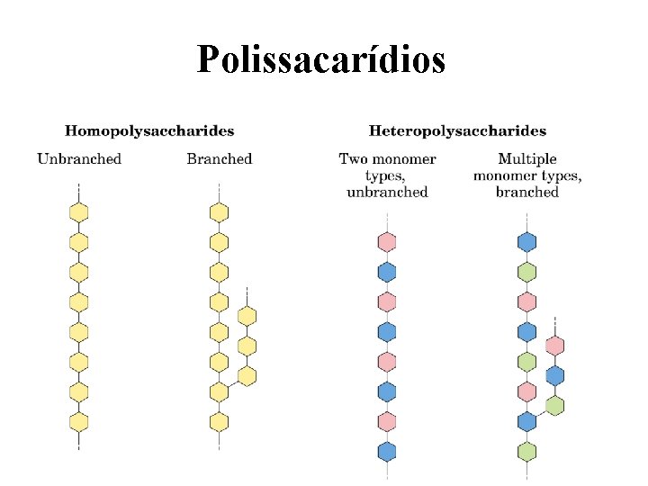 Polissacarídios 