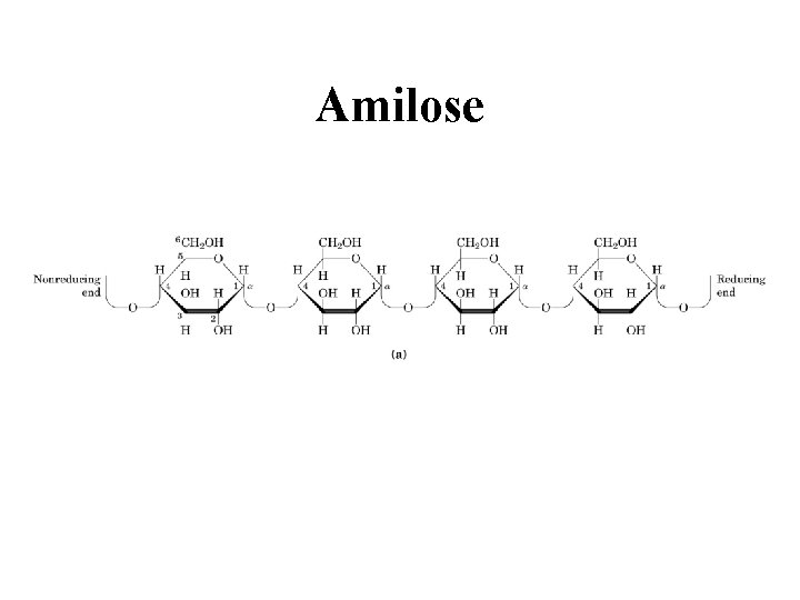 Amilose 