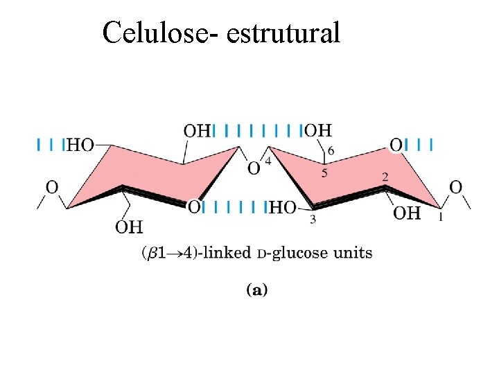 Celulose- estrutural 