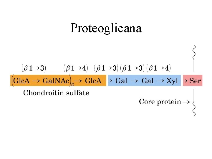 Proteoglicana 