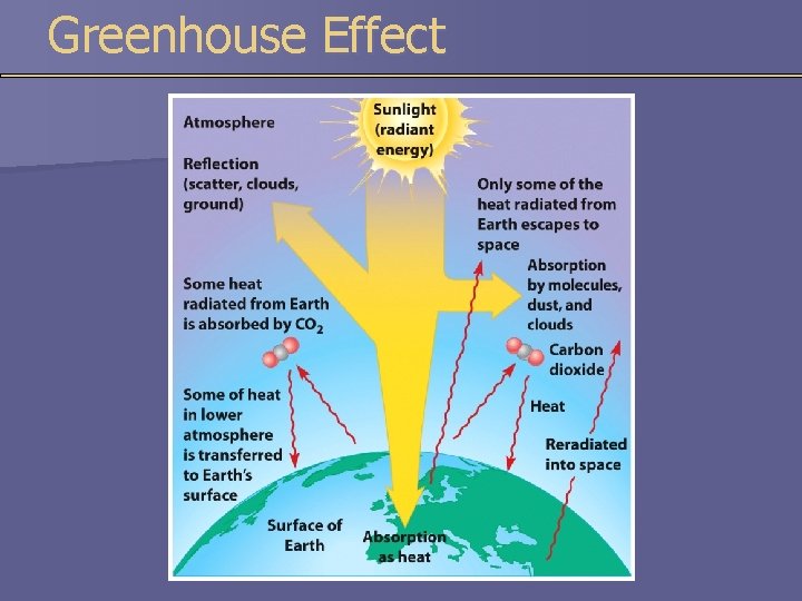 Greenhouse Effect 