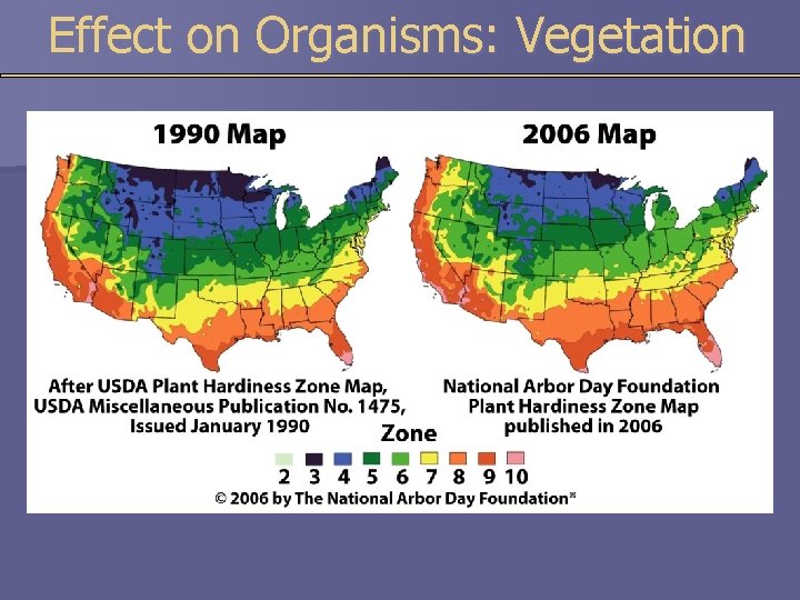 Effect on Organisms: Vegetation 