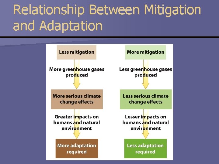 Relationship Between Mitigation and Adaptation 