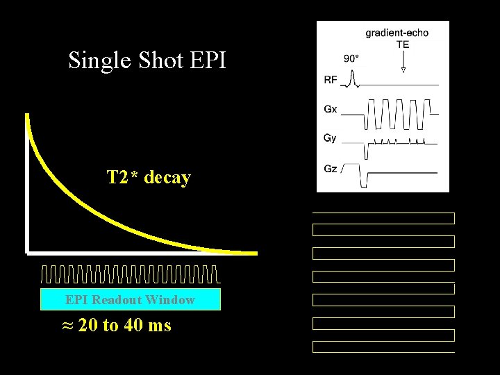 Single Shot EPI T 2* decay EPI Readout Window ≈ 20 to 40 ms Single Shot EPI T 2* decay EPI Readout Window ≈ 20 to 40 ms