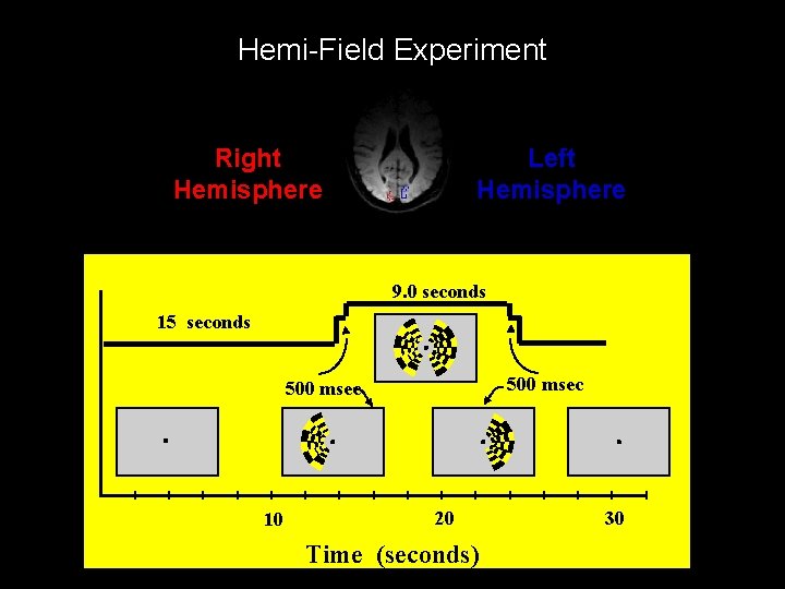 Hemi-Field Experiment Right Hemisphere Left Hemisphere 9. 0 seconds 15 seconds 500 msec 10 Hemi-Field Experiment Right Hemisphere Left Hemisphere 9. 0 seconds 15 seconds 500 msec 10