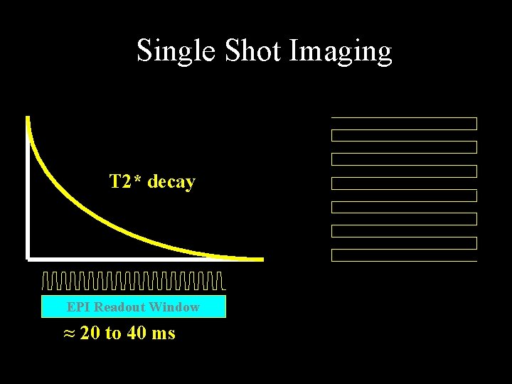 Single Shot Imaging T 2* decay EPI Readout Window ≈ 20 to 40 ms Single Shot Imaging T 2* decay EPI Readout Window ≈ 20 to 40 ms