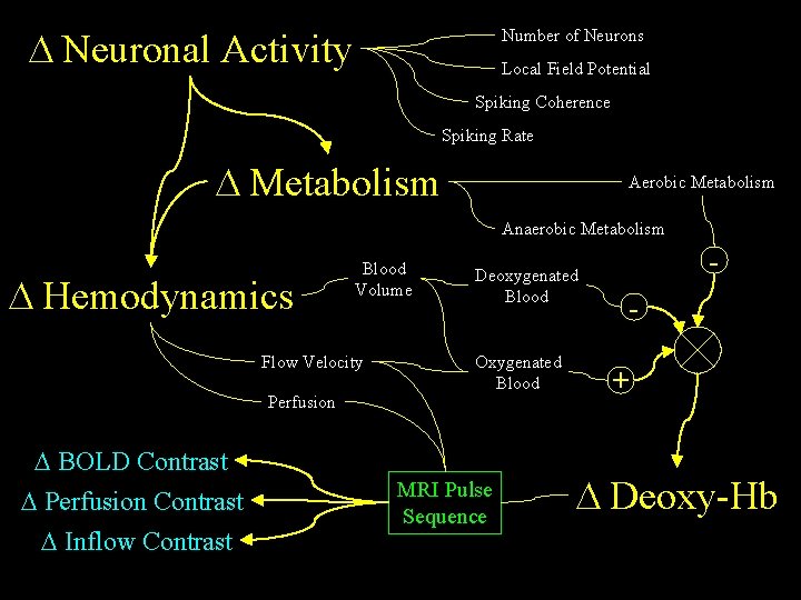 D Neuronal Activity Number of Neurons Local Field Potential Spiking Coherence Spiking Rate D D Neuronal Activity Number of Neurons Local Field Potential Spiking Coherence Spiking Rate D