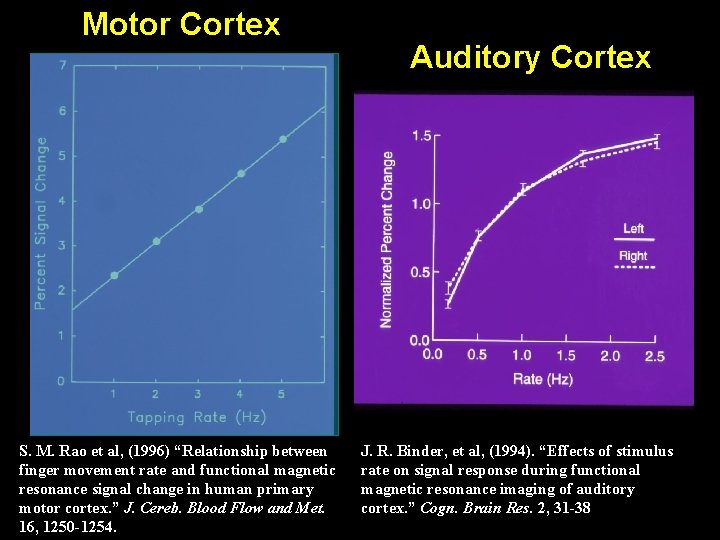 Motor Cortex S. M. Rao et al, (1996) “Relationship between finger movement rate and Motor Cortex S. M. Rao et al, (1996) “Relationship between finger movement rate and