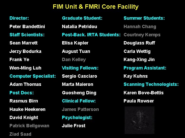 FIM Unit & FMRI Core Facility Director: Graduate Student: Summer Students: Peter Bandettini Natalia FIM Unit & FMRI Core Facility Director: Graduate Student: Summer Students: Peter Bandettini Natalia