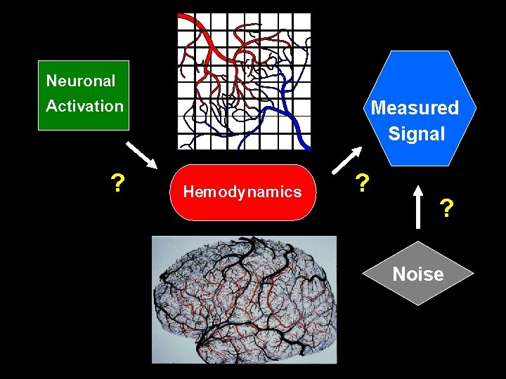 Neuronal Activation ? Measured Signal Hemodynamics ? ? Noise Neuronal Activation ? Measured Signal Hemodynamics ? ? Noise