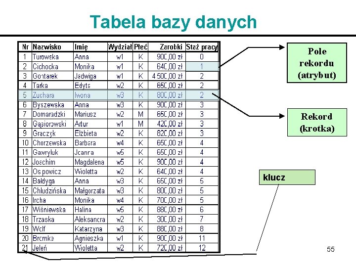 Tabela bazy danych Pole rekordu (atrybut) Rekord (krotka) klucz 55 