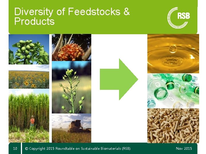 Diversity of Feedstocks & Products 10 © Copyright 2015 Roundtable on Sustainable Biomaterials (RSB)