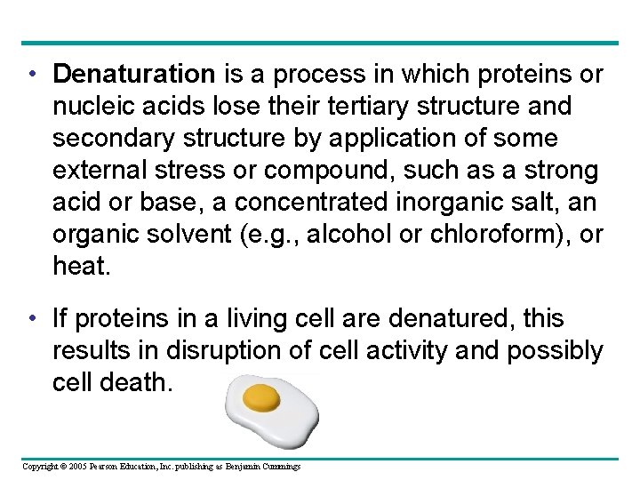  • Denaturation is a process in which proteins or nucleic acids lose their