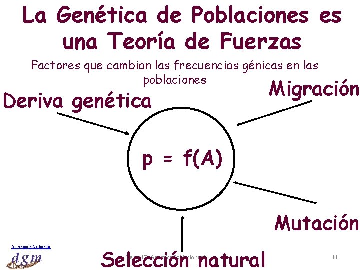 La Genética de Poblaciones es una Teoría de Fuerzas Factores que cambian las frecuencias