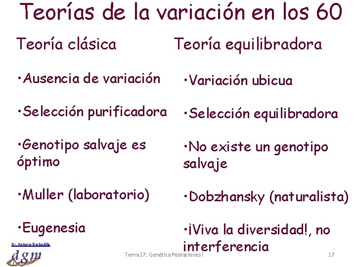 Teorías de la variación en los 60 Teoría clásica Teoría equilibradora • Ausencia de