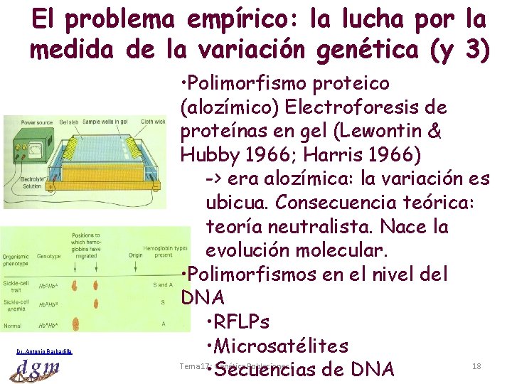 El problema empírico: la lucha por la medida de la variación genética (y 3)