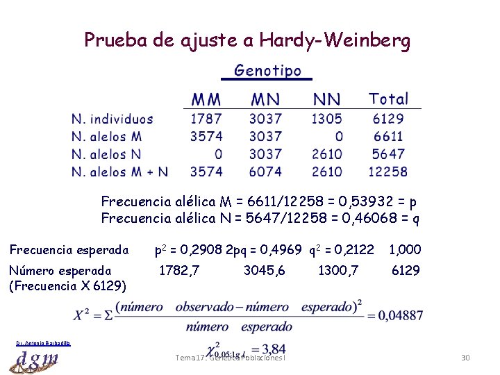 Prueba de ajuste a Hardy-Weinberg Frecuencia alélica M = 6611/12258 = 0, 53932 =