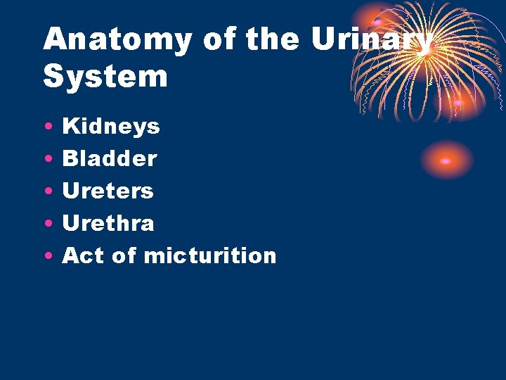 Anatomy of the Urinary System • • • Kidneys Bladder Ureters Urethra Act of