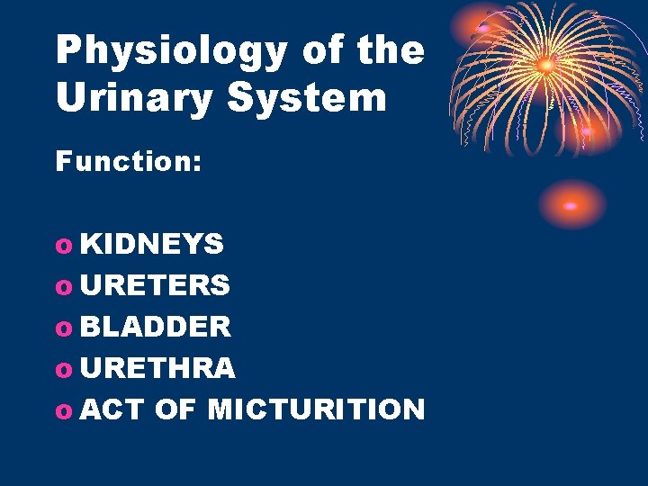 Physiology of the Urinary System Function: o KIDNEYS o URETERS o BLADDER o URETHRA