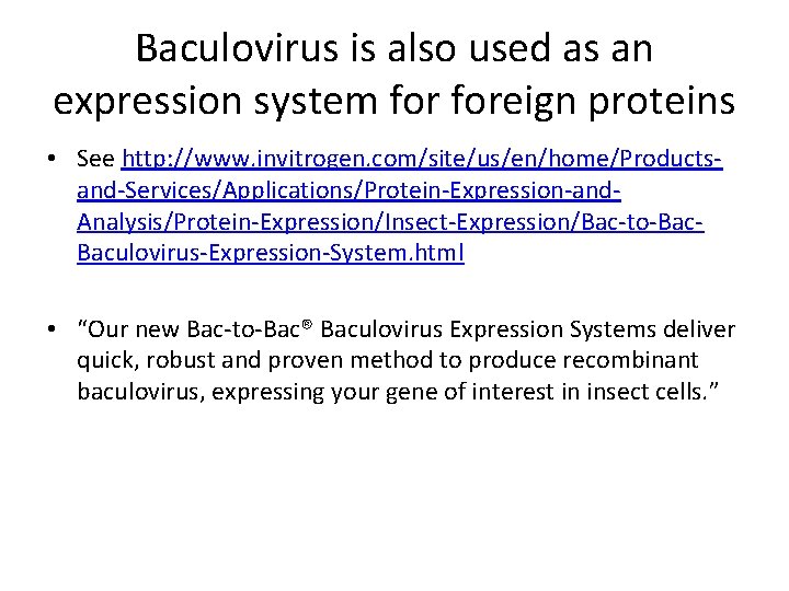 Baculovirus is also used as an expression system foreign proteins • See http: //www.
