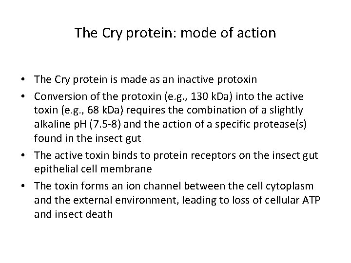 The Cry protein: mode of action • The Cry protein is made as an