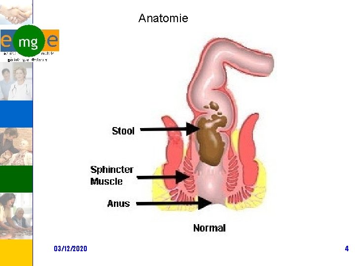 Anatomie 03/12/2020 4 