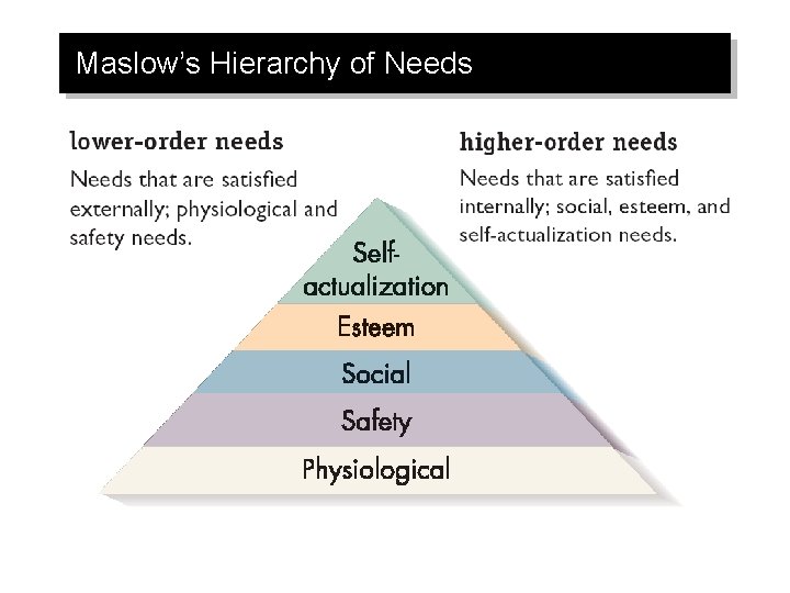 Maslow’s Hierarchy of Needs 