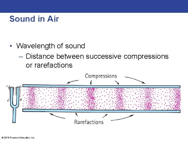 Sound in Air • Wavelength of sound – Distance between successive compressions or rarefactions