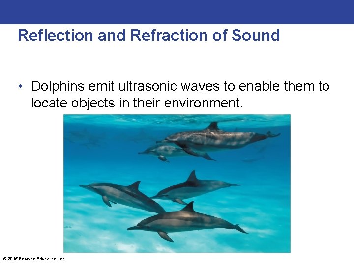 Reflection and Refraction of Sound • Dolphins emit ultrasonic waves to enable them to