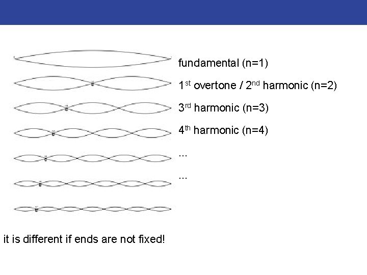 fundamental (n=1) 1 st overtone / 2 nd harmonic (n=2) 3 rd harmonic (n=3)