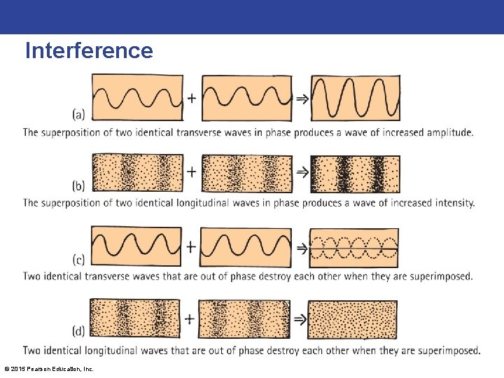 Interference © 2015 Pearson Education, Inc. 