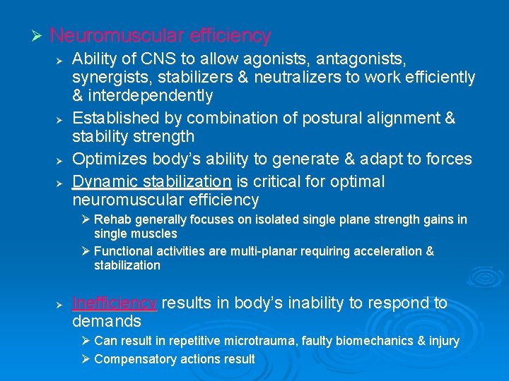 Ø Neuromuscular efficiency Ø Ø Ability of CNS to allow agonists, antagonists, synergists, stabilizers