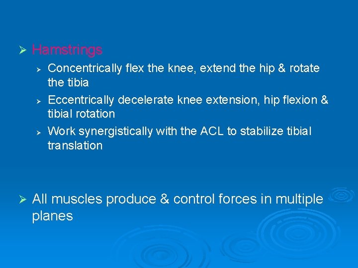 Ø Hamstrings Ø Ø Concentrically flex the knee, extend the hip & rotate the