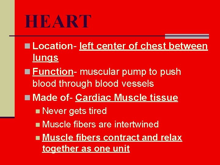HEART n Location- left center of chest between lungs n Function- muscular pump to