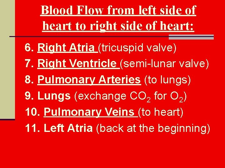 Blood Flow from left side of heart to right side of heart: 6. Right
