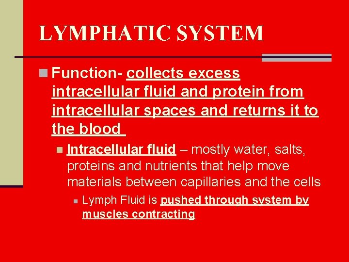 LYMPHATIC SYSTEM n Function- collects excess intracellular fluid and protein from intracellular spaces and