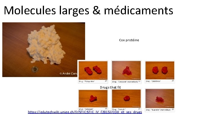 Molecules larges & médicaments Cox protéine Drugs that fit https: //edutechwiki. unige. ch/fr/STIC: STIC_IV_(2015)/COX_et_ses_drugs