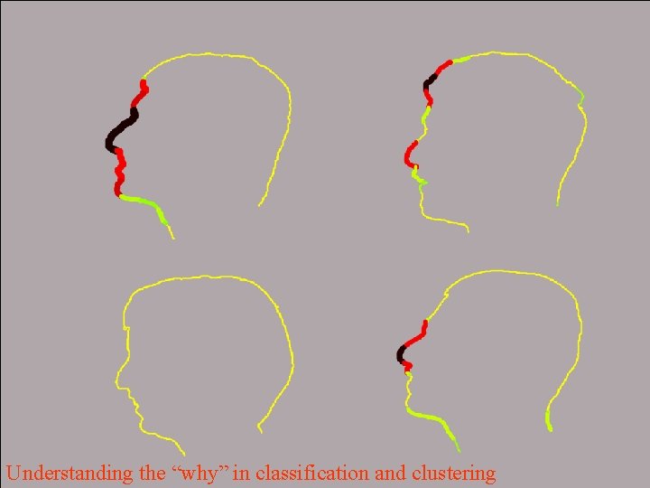 Understanding the “why” in classification and clustering 